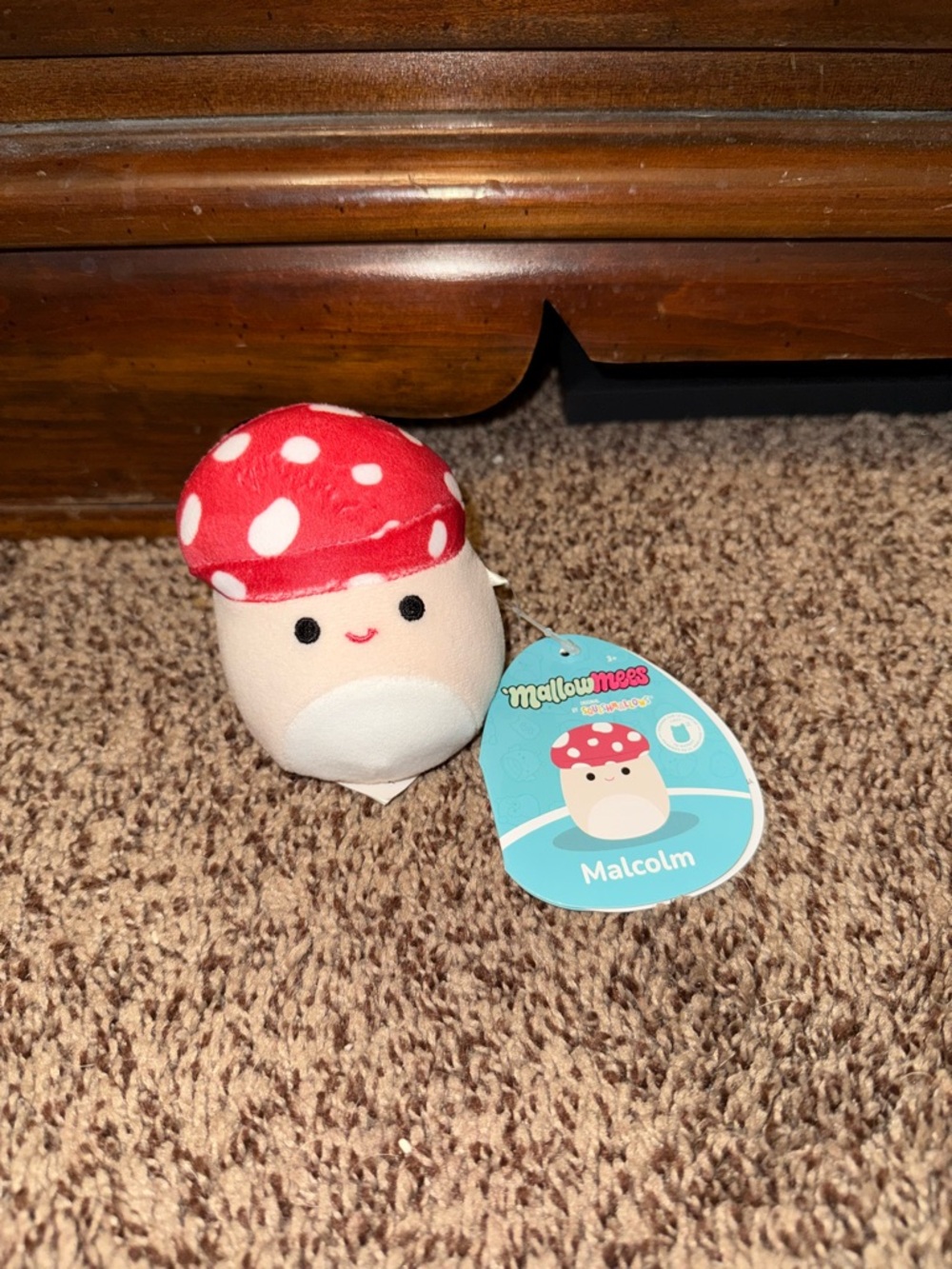Squishmallow Mallowmees Malcom the Mushroom Squishy Brand New!